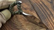 push dagger bos ukraina