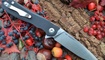 купить Нож Real Steel Megalodon 7420