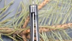 Нож Kizer V4478A2 Velox2