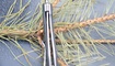 Нож Kizer V4478A2 Velox3