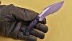 nozh we knife vaquita kupit v ukraine
