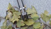 Нож Kizer V4458A1 Begleiter5