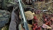 TwoSun TS76 отзывы