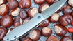 купить Нож Kizer Velox 2 Ki4478
