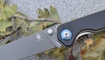 Нож Kizer V4458A1 Begleiter8