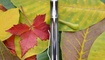 Нож Kizer Interpid V4468A2 отзывы