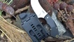 Нож CRKT цена