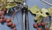 Нож Kizer V4484A1 Kyre7