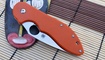 Нож Spyderco Domino9