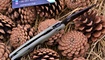 skladnoy nozh spyderco paramilitary 2 c81 kopiya nedorogo