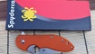 Нож Spyderco Domino11