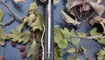 Нож Kizer V4484A1 Kyre12