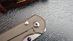 Нож Chris Reeve Large Sebenza 25_10