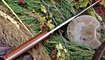 okhotnichiy nozh buck falcon tsena