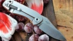 nozh real steel 3001 precision kupit v ukraine