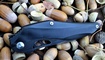 нож Brous Blades Isham Raven Flipper копия
