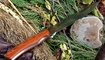 okhotnichiy nozh buck falcon ukraina kupit