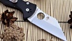Skladnoy nozh Spyderco Yojimbo 2 C85GP2 dnepr