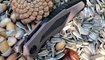 нож Zero Tolerance 0427 обзор