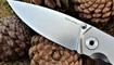 kupit nozh realsteel phasma 9223 v kiev