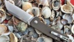 nozh qsp penguin foto