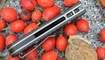 Нож Kizer Hunter small Ki3416A1 Мариуполь