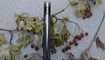 Нож Kizer V4461A1 Kesmec10