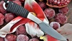 sheynyy nozh real steel marlin kupit