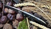 нож Spyderco Native 5 купить