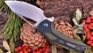 skladnoy nozh eafengrow ef914 tsena