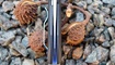 Нож Zero Tolerance 0456 black10