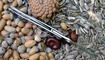 нож Spyderco Tusk Mariner Marlinspike C06 фото