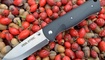 Нож Real Steel Bushcraft Folder 3716
