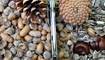 нож Spyderco Tusk Mariner Marlinspike C06 интернет магазин