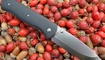 Нож Real Steel Bushcraft Folder 3716 цена