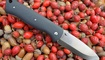 Нож Real Steel Bushcraft Folder 3716 фото