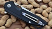 qsp knife shark