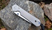 Нож Chris Reeve Large Sebenza 21_10