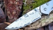 Нож Chris Reeve Large Sebenza 21 damask Днепр