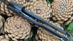 Skladnoy nozh Brous Blades Isham Raven Flipper nikolaev