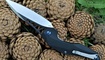 Skladnoy nozh Brous Blades Isham Raven Flipper mariupol