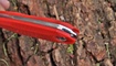 sheynyy nozh metamorph fixed red ukraina
