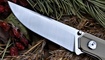 nozh stedemon knives bp-02 foto
