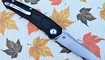 купить нож Maxace Ptilopsis