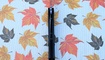 нож Maxace Ptilopsis в Украине