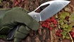 kizer megatherium ki4502A1