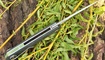 nozh realsteel sidus luminous carbon nedorogo