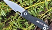 nozh realsteel sidus luminous carbon otzyvy