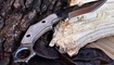 karambit wolverine knives wolf paw ukraina
