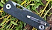 realsteel sidus luminous carbon 7462